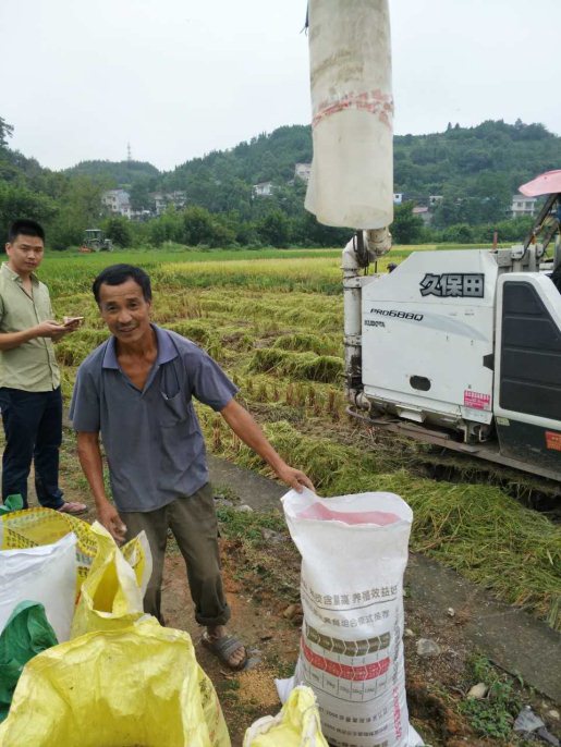 麻阳米米生态农业科技有限公司,富硒大米价格,糙米批发,麻阳大米加工,发芽糙米,芽米茶,营养粉