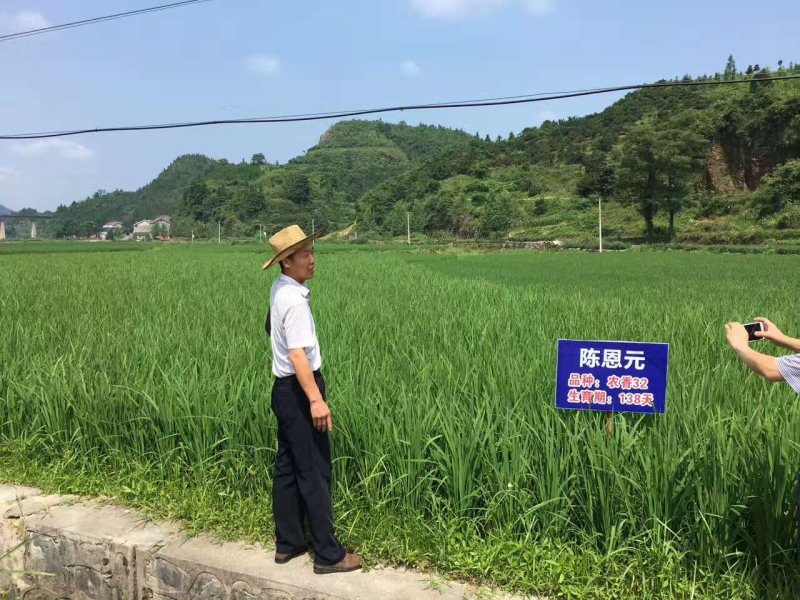 麻阳米米生态农业科技有限公司,富硒大米价格,糙米批发,麻阳大米加工,发芽糙米,芽米茶,营养粉